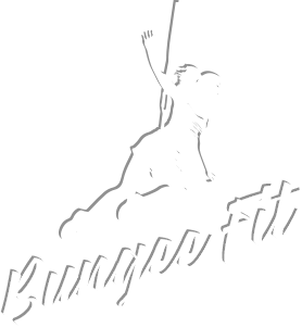 bungee fitness cours dijon